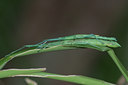 BUITEN BEELD Foto: 25703