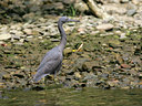 BUITEN BEELD Foto: 25706