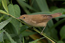 BUITEN BEELD Foto: 25745