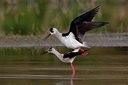 BUITEN BEELD Foto: 25781
