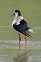 BUITEN BEELD Foto: 25802