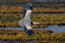 BUITEN BEELD Foto: 25961