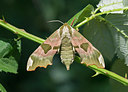 BUITEN BEELD Foto: 259003