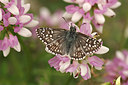BUITEN BEELD Foto: 259019