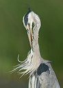 BUITEN BEELD Foto: 259028