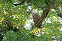 BUITEN BEELD Foto: 259141