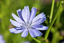 BUITEN BEELD Foto: 259219