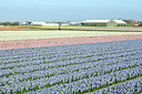 BUITEN BEELD Foto: 259223