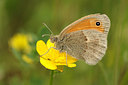 BUITEN BEELD Foto: 259268