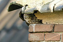 BUITEN BEELD Foto: 259284