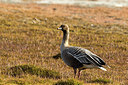 BUITEN BEELD Foto: 259332