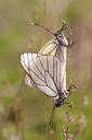 BUITEN BEELD Foto: 259423