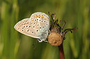 BUITEN BEELD Foto: 259433