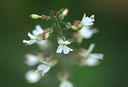 BUITEN BEELD Foto: 259466