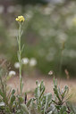 BUITEN BEELD Foto: 259504
