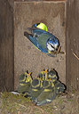 BUITEN BEELD Foto: 259520