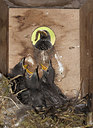 BUITEN BEELD Foto: 259527