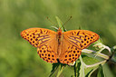 BUITEN BEELD Foto: 259584