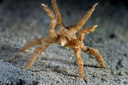 BUITEN BEELD Foto: 259599