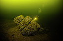 BUITEN BEELD Foto: 259639