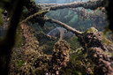 BUITEN BEELD Foto: 259697