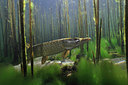 BUITEN BEELD Foto: 259713