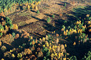 BUITEN BEELD Foto: 259756
