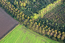 BUITEN BEELD Foto: 259883