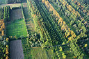 BUITEN BEELD Foto: 259925