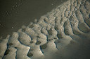 BUITEN BEELD Foto: 259995