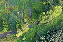BUITEN BEELD Foto: 260005