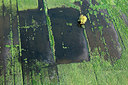 BUITEN BEELD Foto: 260015