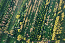 BUITEN BEELD Foto: 260036