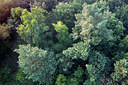 BUITEN BEELD Foto: 260276