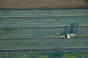 BUITEN BEELD Foto: 260298