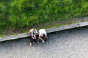 BUITEN BEELD Foto: 260309