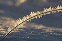 BUITEN BEELD Foto: 260438