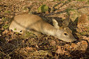 BUITEN BEELD Foto: 260462