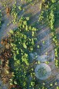BUITEN BEELD Foto: 260757