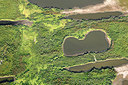 BUITEN BEELD Foto: 260766