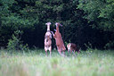 BUITEN BEELD Foto: 260952
