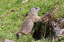 BUITEN BEELD Foto: 260989
