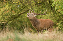 BUITEN BEELD Foto: 261104
