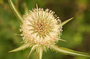 BUITEN BEELD Foto: 261149