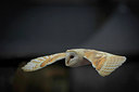 BUITEN BEELD Foto: 261163
