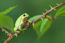 BUITEN BEELD Foto: 261194