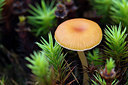 BUITEN BEELD Foto: 261217