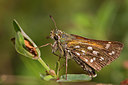 BUITEN BEELD Foto: 261227
