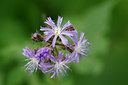 BUITEN BEELD Foto: 261238