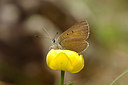 BUITEN BEELD Foto: 261247